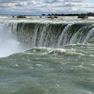 Meet your Posher, Shontia